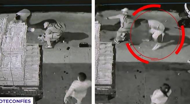 Sujeto mata a perro pitbull de vecino