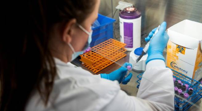 Ómicron fue detectada en Argentina, Brasil, Canadá, Chile, México y Estados Unidos