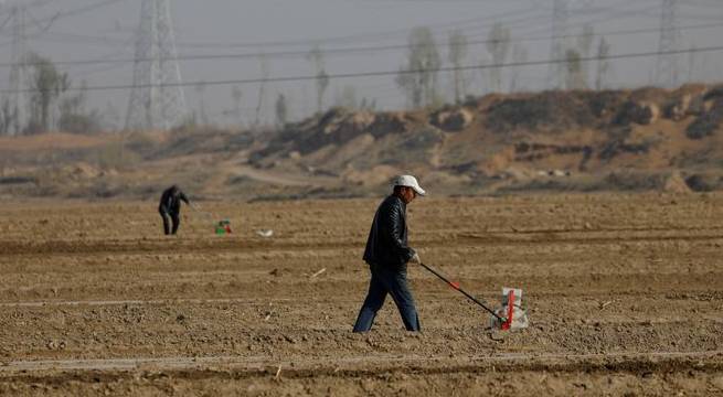 China permitirá los cultivos modificados genéticamente en aras de la seguridad alimentaria