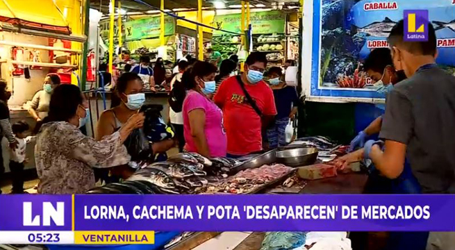 Ventanilla: escasean lorna, cachema y pota tras derrame de petróleo