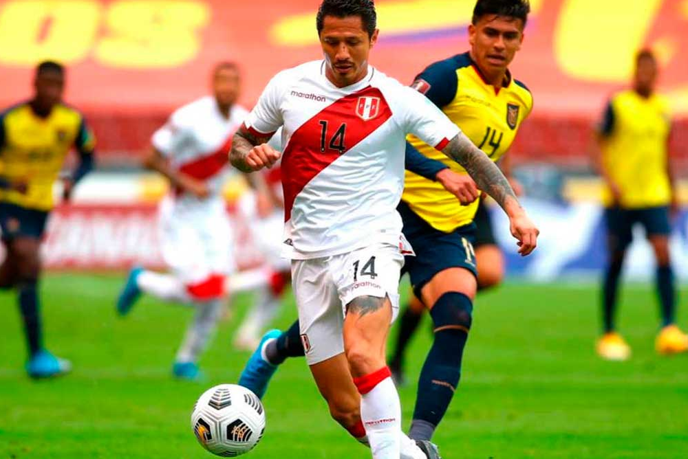 peru vs ecuador en vivo online