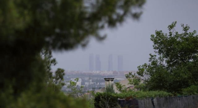 La ola de calor en España pasa factura a las aves jóvenes