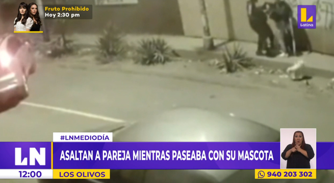 Los Olivos: delincuentes asaltan a pareja que paseaba a su mascota