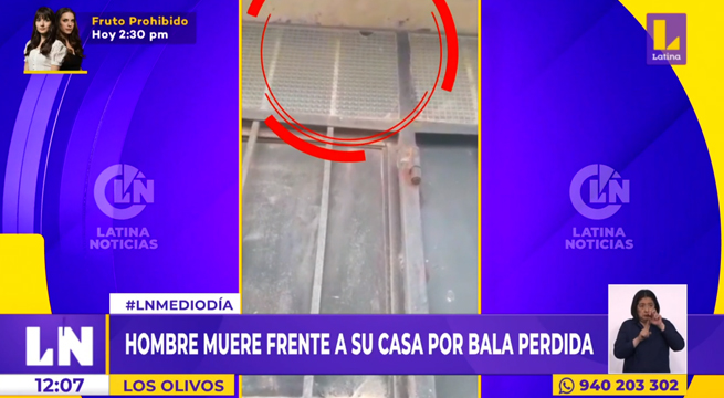 Los Olivos: hombre muere en la puerta de su casa tras impactarle bala perdida