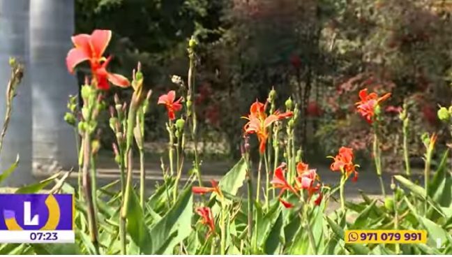 El jardín de los sentidos: un lugar donde las plantas, los aromas y las aves despiertan recuerdos