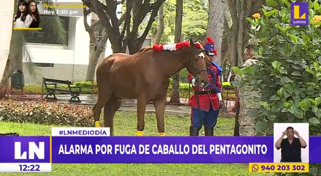 Caballo se fuga del Pentagonito tras asustarse en ceremonia