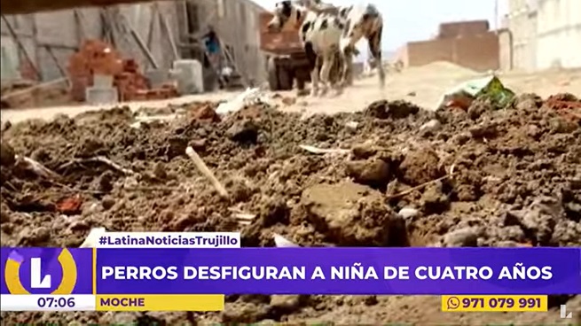 Moche: niña de cuatro años sufre graves heridas tras ataque de perros