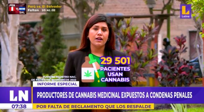 Productores de cannabis medicinal expuestos a condenas penales por falta de reglamento