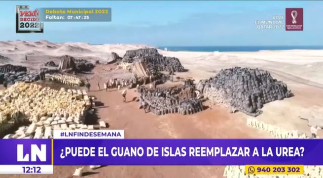 ¿Es viable el uso de guano de isla en reemplazo de la urea?