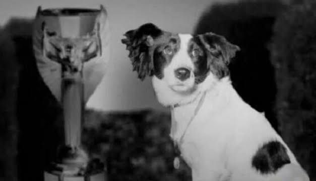 Pickles: El perro que encontró la Copa del Mundo robada