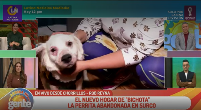 El nuevo hogar de ‘Bichota’, la perrita abandonada en Surco