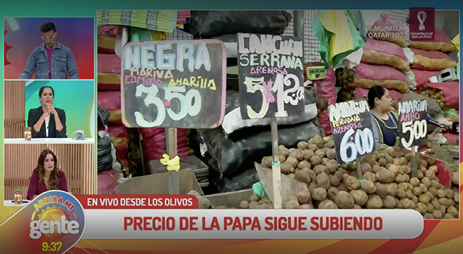 Precio de la papa continúa en incremento