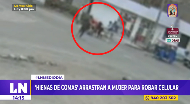 Comas: delincuentes que robaban en 