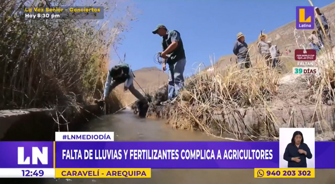 Siete mil hectáreas de cultivos en riesgo por falta de lluvias y fertilizantes