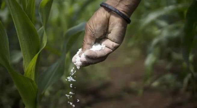 Empresa keniata Prime Charters International gana licitación de úrea