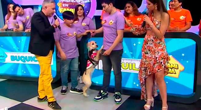 Blondy y Saigón compitieron en ‘Laberinto de mascotas’