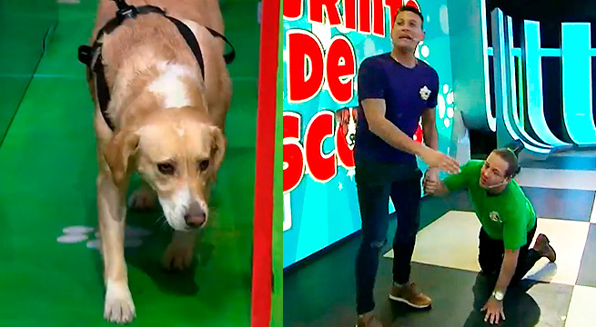 Nala y Mari compitieron en ‘Laberinto de mascotas’