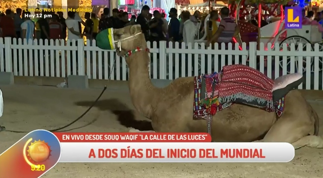 ¡Latina llegó a Catar! Conoce todos los detalles del país donde se jugará la Copa del Mundo