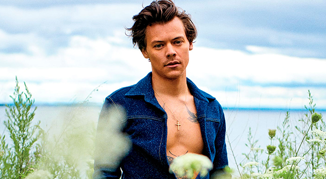 Harry Styles: ¿Peligra su concierto en Lima?