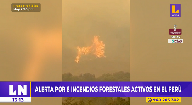 Alerta por ocho incendios forestales activos en Perú