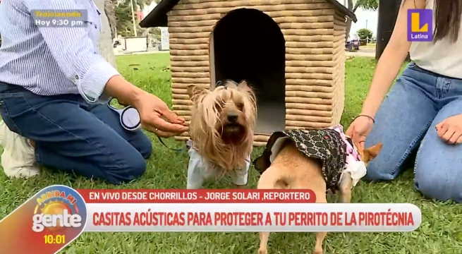 Arriba Mi Gente: Conoce las casas acústicas para proteger a las mascotas de la pirotecnia