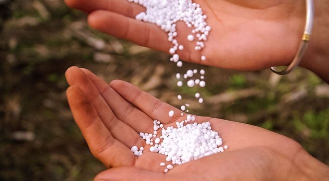 Cuarto intento de compra de urea no se concretó