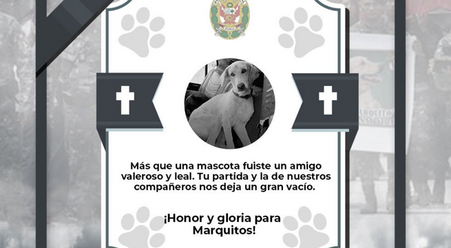 PNP rinde sentido homenaje a 'Marquito', perro asesinado en emboscada en el Vraem