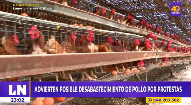 Advierten posible desabastecimiento de pollo por bloqueo de carreteras