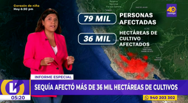 Informe Especial: sequía afectó más de 36 mil hectáreas de cultivos