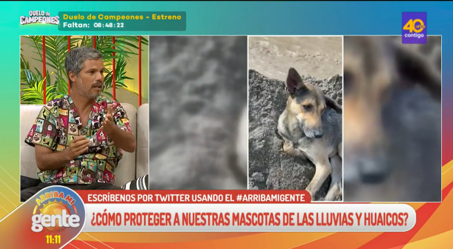 Arriba Mi Gente: ¿Cómo proteger a nuestras mascotas de las lluvias y huaicos?