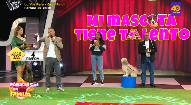 Sábados en Familia: Nuevos animalitos se presentaron en ‘Mi mascota tiene talento’