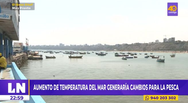 El Niño Costero: aumento de temperatura del mar generaría cambios en la pesca