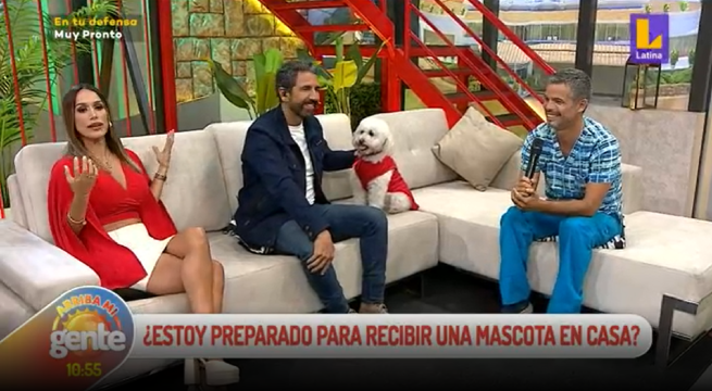 Consultorio de Pipoca: ¿Estamos preparados para recibir una mascota en casa?