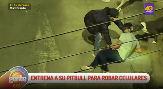 VES: Joven obligaba a su perro pitbull a atacar a transeúntes para robar sus pertenencias