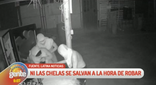 ¿Tenían mucha sed?: las hipótesis sobre el caso de ladrones de cerveza en Cura Mori
