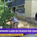 Dengue: fumigarán más de 3000 centros educativos en Piura