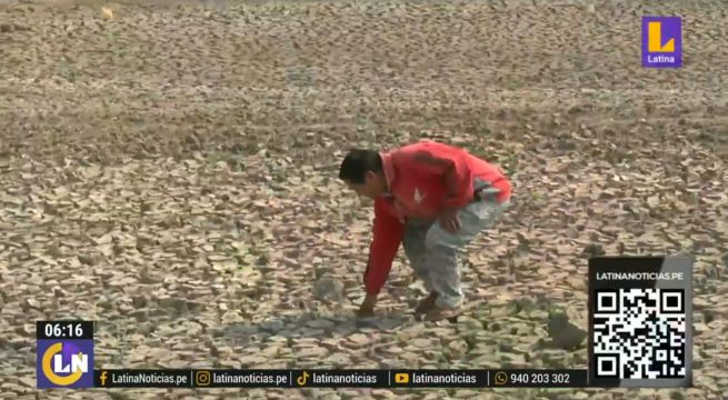 El Niño en Panamá: ¿cómo afecta el fenómeno en el país?