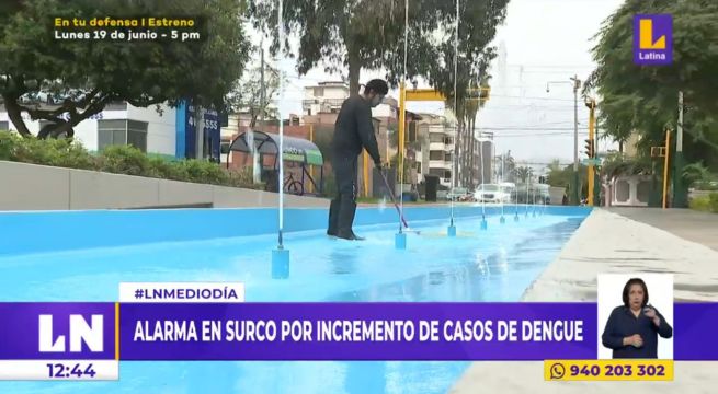 Dengue: declaran en emergencia sanitaria a Surco por aumento de casos