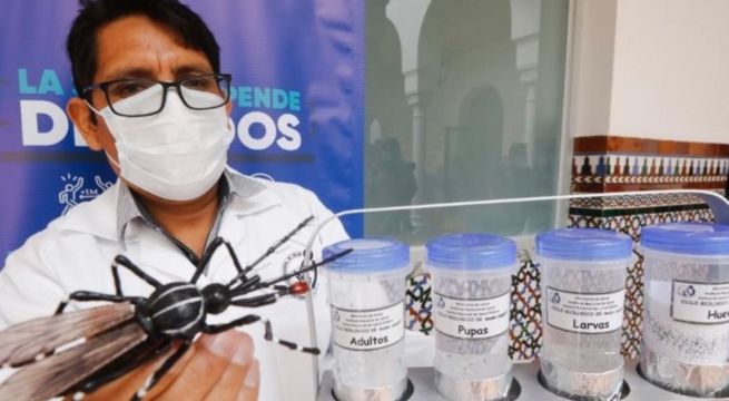 Dengue: ¿puedo volver a contagiarme? Esto dijo un médico