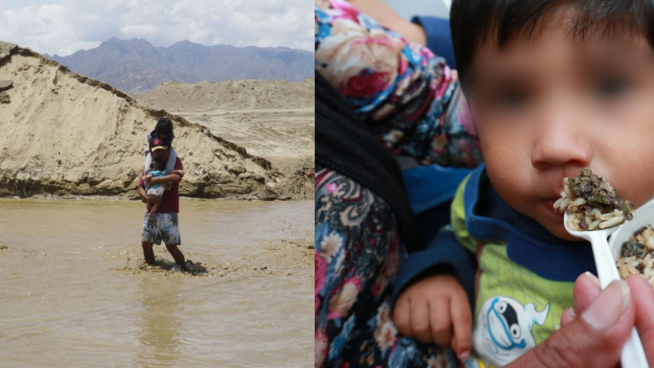 Colegio de Nutricionistas: 