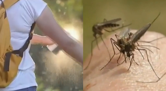 Emiten alerta sanitaria por casos de malaria en Estados Unidos