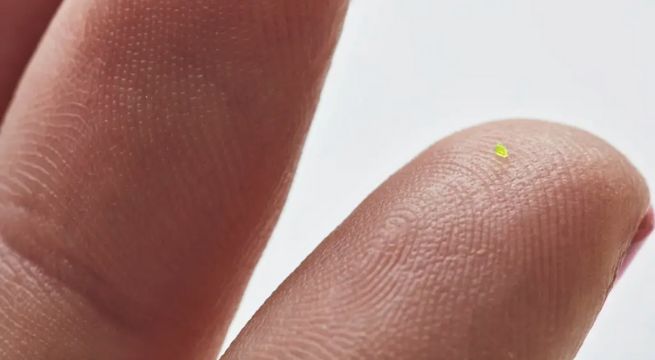 Venden bolso microscópico a más de 63 mil dólares