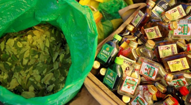 Cultivo de hoja de coca en Perú repunta con más impacto cerca de fronteras Brasil y Colombia