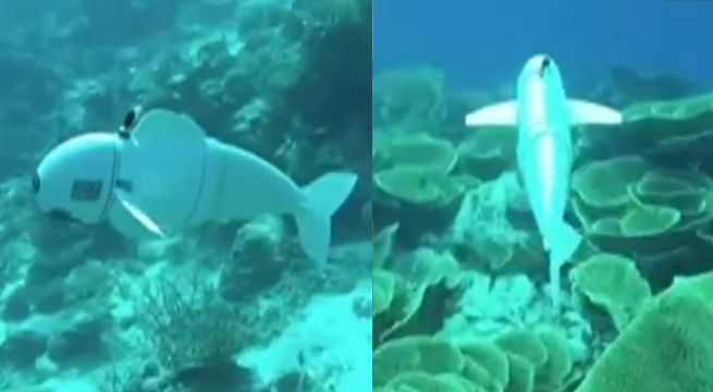 Crean pez robot con para descubrir las profundidades del mar