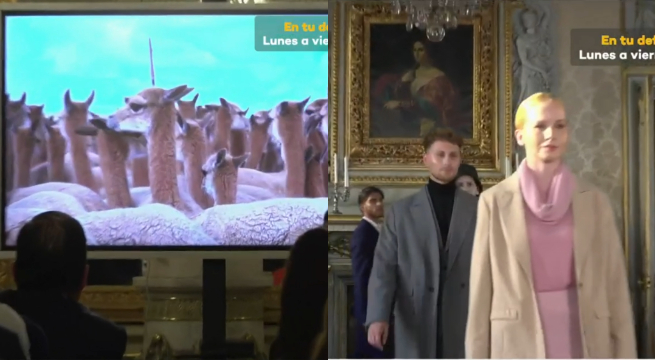 Colección de fibra de vicuña peruana cautiva en Francia