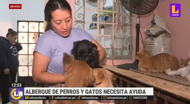 Albergue de perros y gatos necesita ayuda para seguir alimentando a los animales