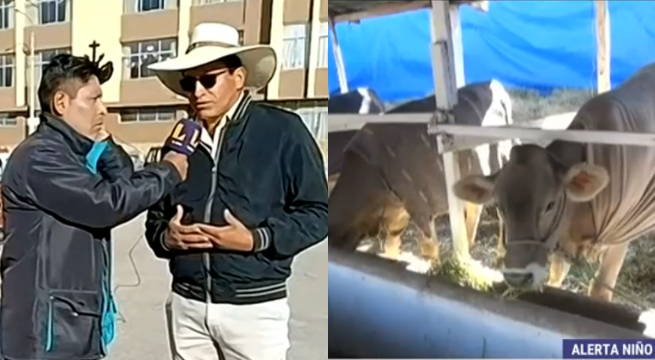 La crisis hídrica nos ha golpeado: ganaderos rematan sus animales por sequía