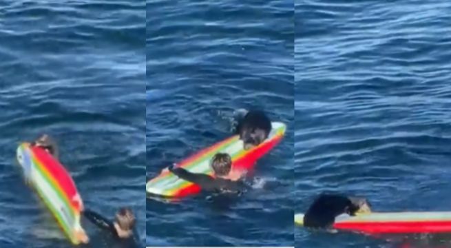 Nutria marina se viraliza tras robar tabla a surfistas en playa de California 