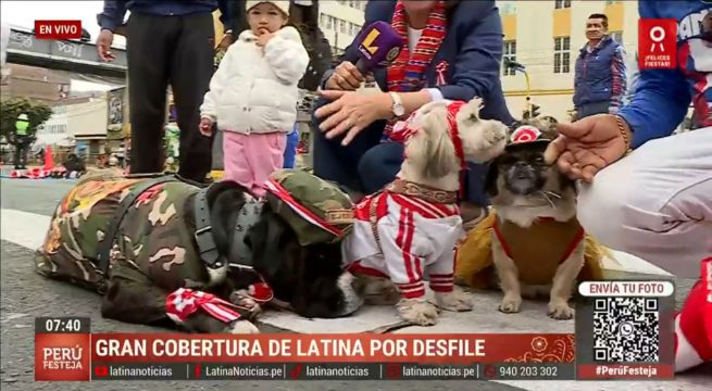 Perros disfrazados de militares causan sensación en desfile