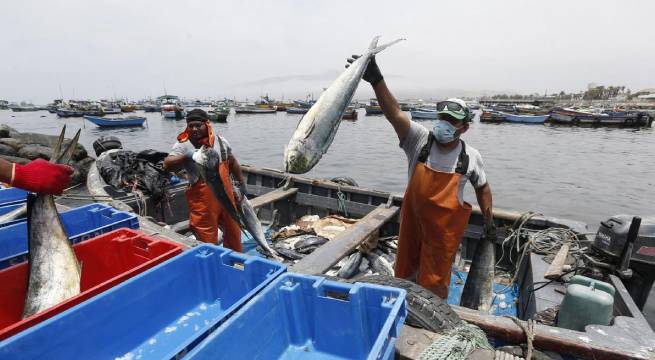 El segundo bono que se le proporcionará a los pescadores ascenderá a 700 soles.
